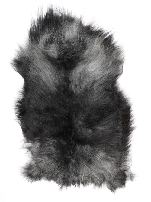 MW00095