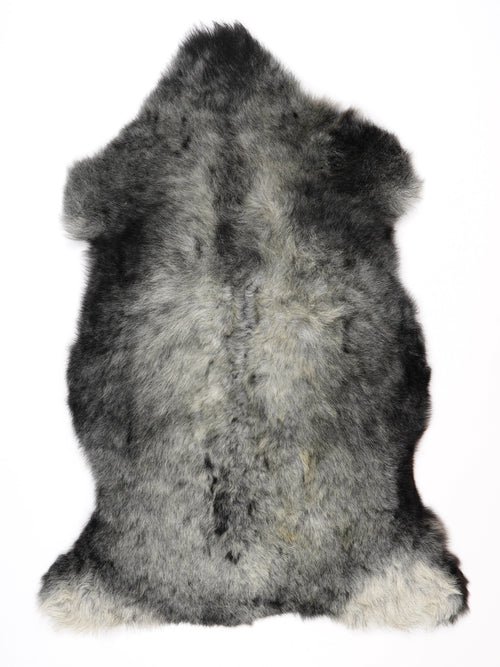 NH00004