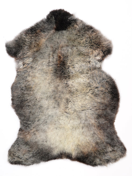 NH00003