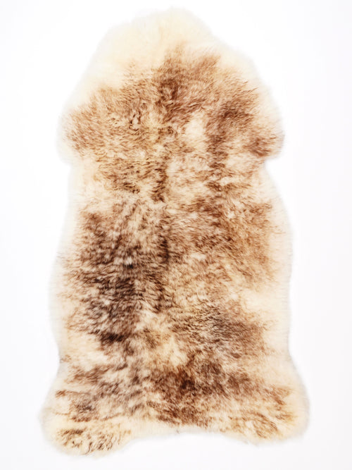 NF00038