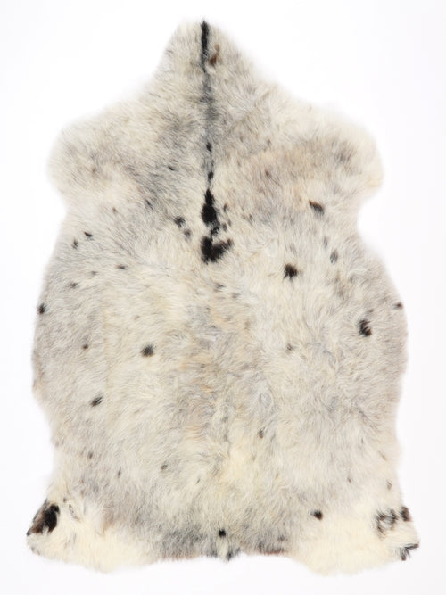 NR00082