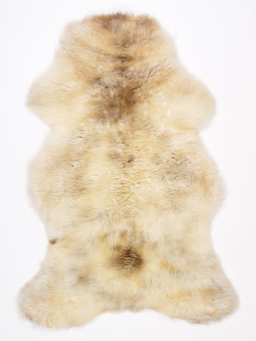 NF00099