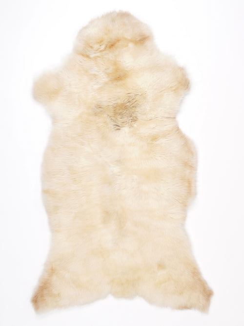 NG00034