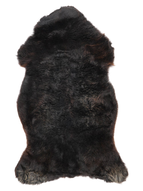 NC00058